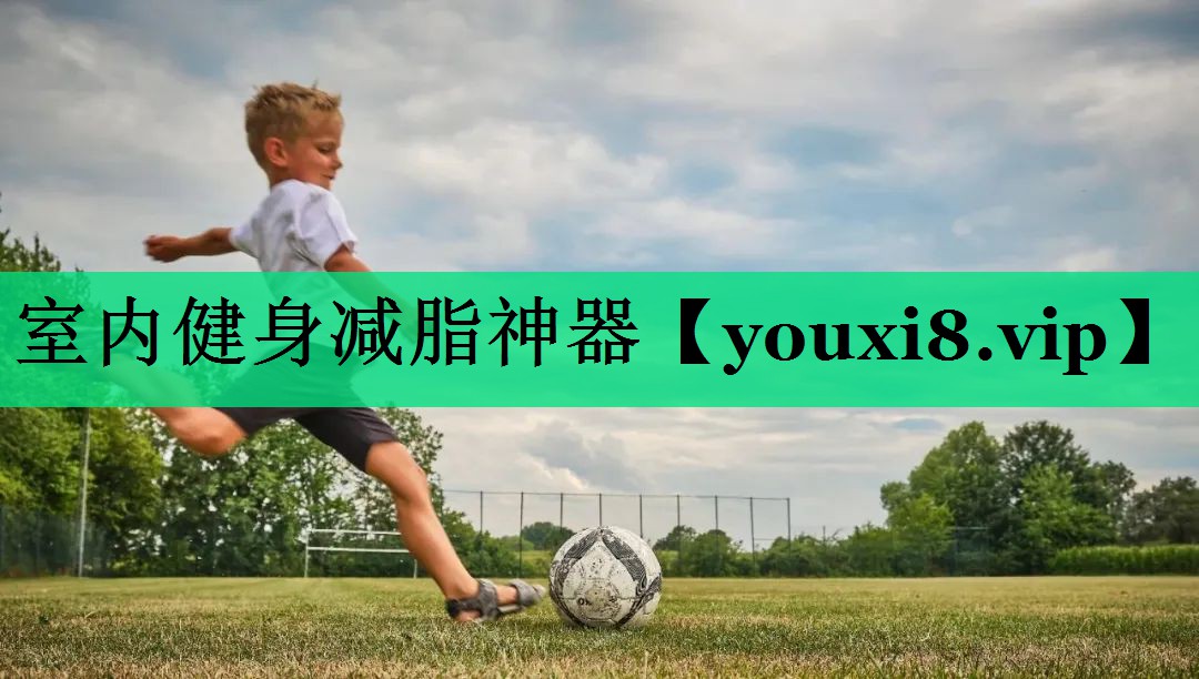 室内健身减脂神器 室内健身减脂神器