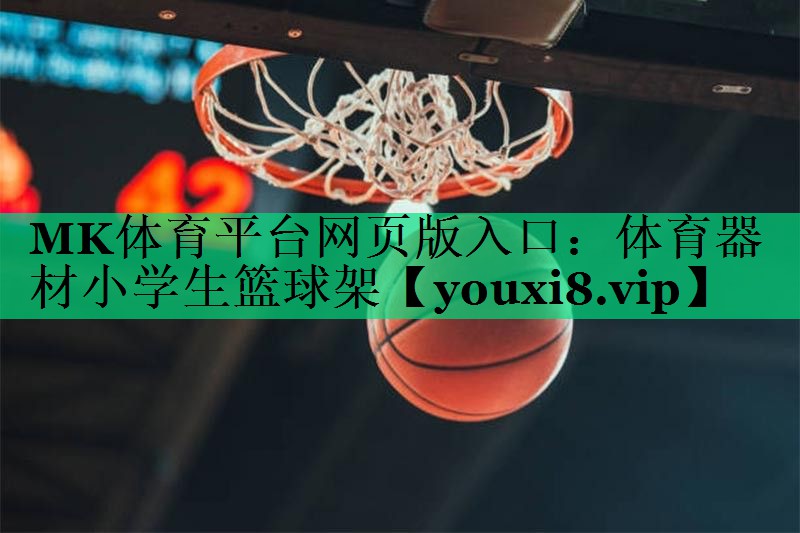 体育器材小学生篮球架