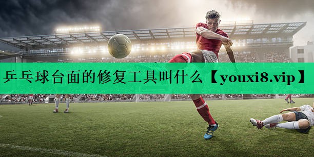 乒乓球台面的修复工具叫什么 乒乓球台面的修复工具叫什么